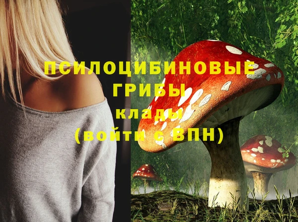 СК Аркадак