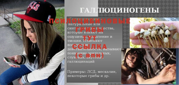 молекула духа Армянск
