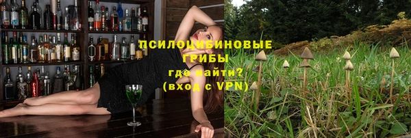 мескалин Арсеньев